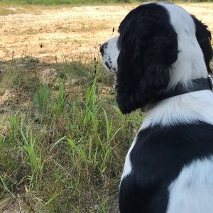 Meet your Posher, Dylan